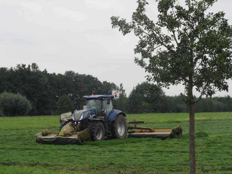 Stikstof depositiebeleid verlaten voor emissiebeleid: quick win of quick big loss?
