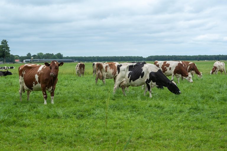 Oplossing PAS knelgevallen binnen handbereik